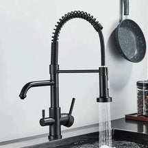 Torneira Para Cozinha Gourmet Monocomando Com Filtro Neptunus - Morada Serena