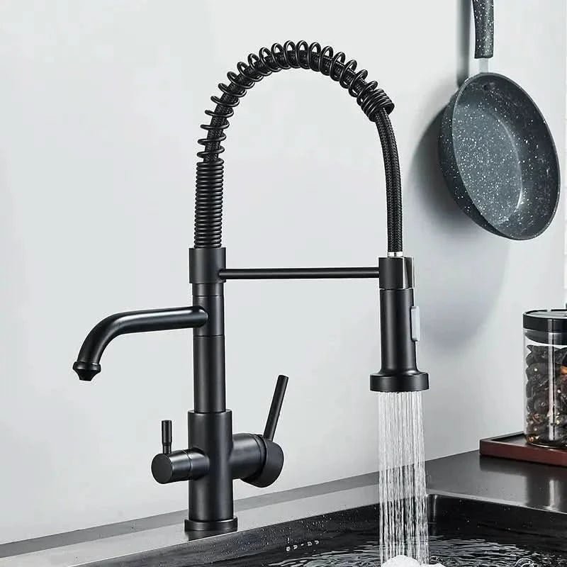 Torneira Para Cozinha Gourmet Monocomando Com Filtro Neptunus - Morada Serena